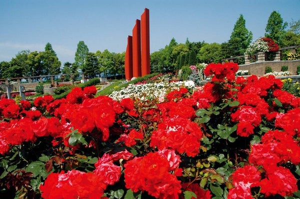 メロンにめろめろ!春の感謝祭ミステリーツアー【久宝寺・近鉄八尾・八戸ノ里・新石切発】3